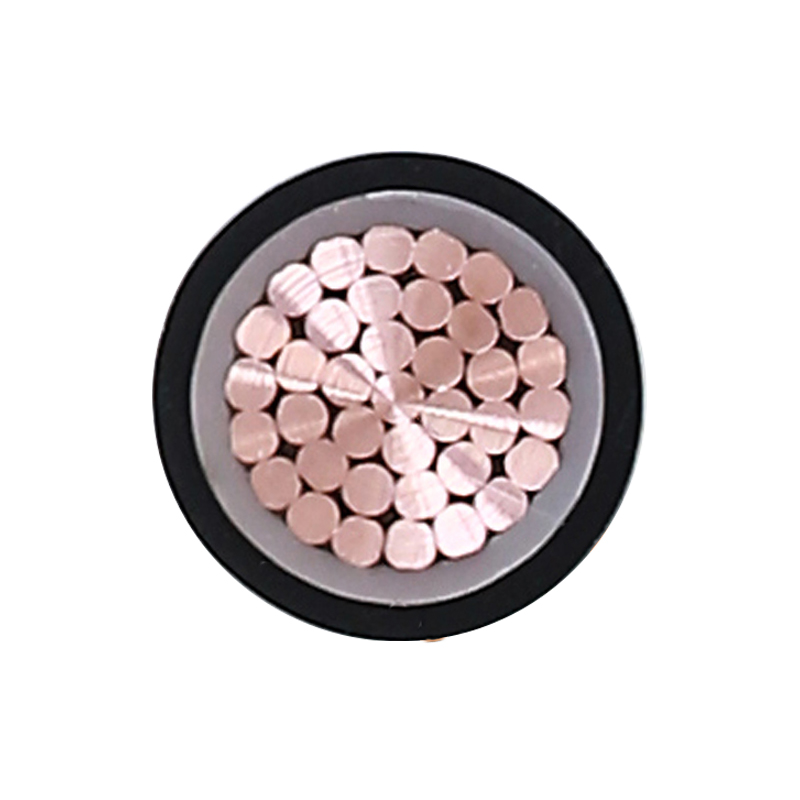 EV Laddningskabel för märkspänning 450/750V