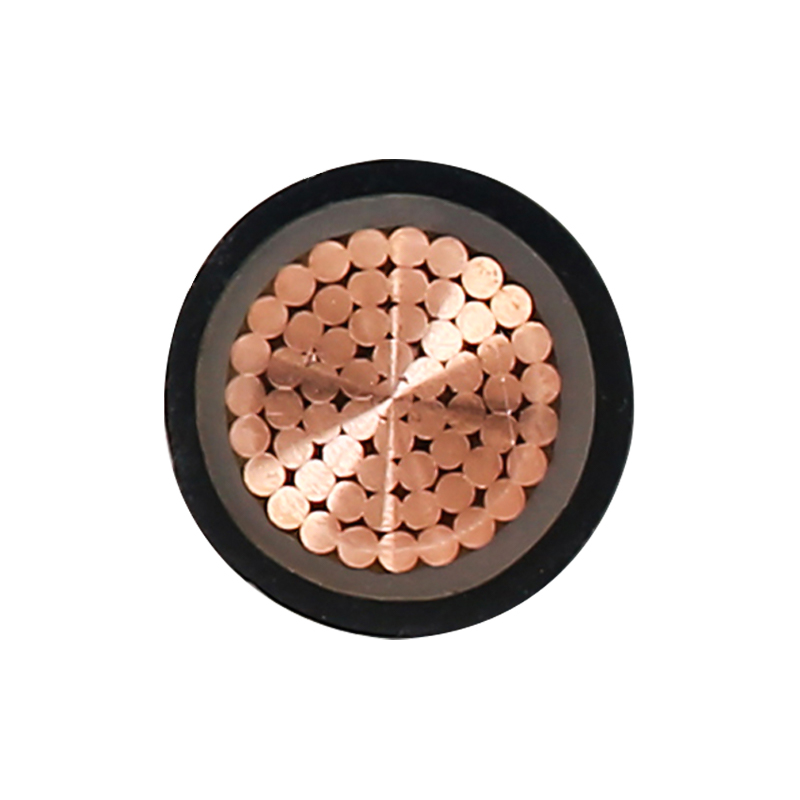 EV Laddningskabel för märkspänning 450/750V