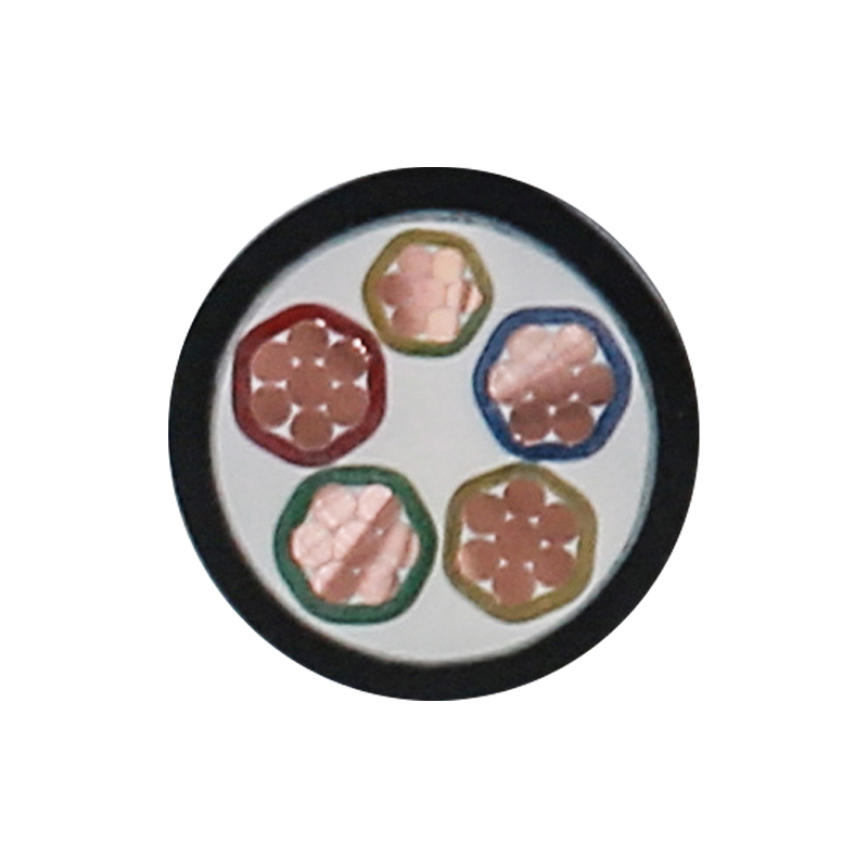 EV Laddningskabel för märkspänning 450/750V