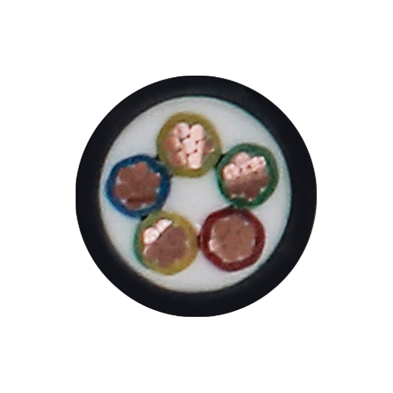 EV Laddningskabel för märkspänning 450/750V