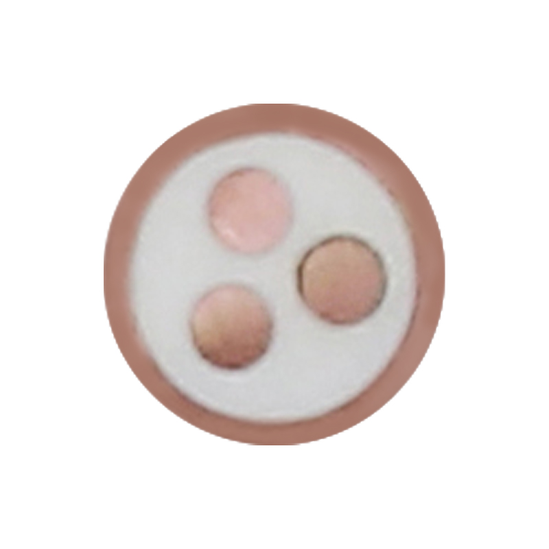 EV Laddningskabel för märkspänning 450/750V