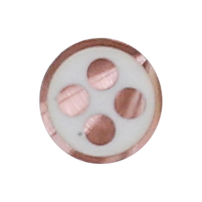 EV Laddningskabel för märkspänning 450/750V