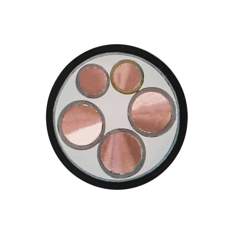 EV Laddningskabel för märkspänning 450/750V