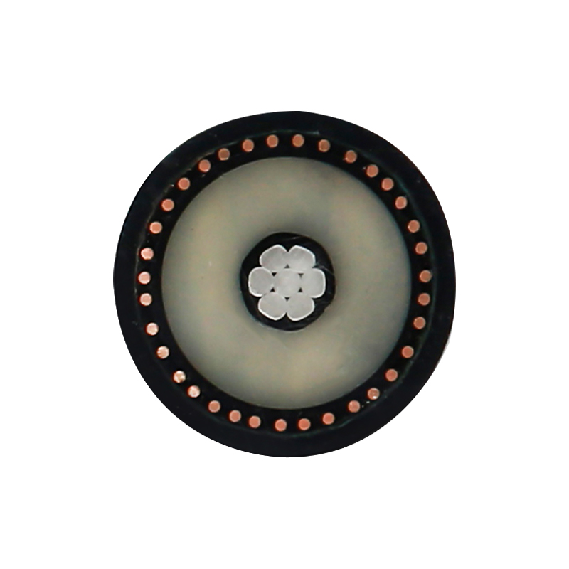 EV Laddningskabel för märkspänning 450/750V